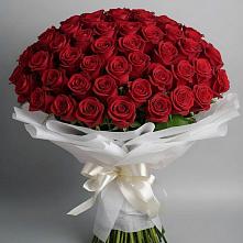 Букет 101 Красная роза Блэк Мэджик #REPLACE_PRED# Северном Оренбургской области