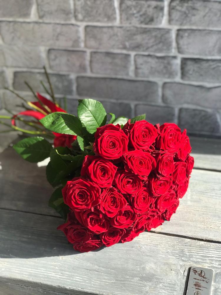 Букет Красные розы Фридом в Северном Оренбургской области