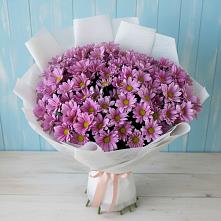 Букет цветов из:  Хризантемы в Северном Оренбургской области