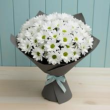 Букет цветов из:  Хризантемы в Северном Оренбургской области