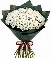 Букет цветов из:  Хризантемы #REPLACE_PRED# Северном Оренбургской области