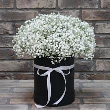 Цветочная композиция из Гипсофила в шляпной коробке в Северном Оренбургской области