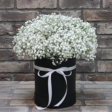 Цветочная композиция из Гипсофила в шляпной коробке в Северном Оренбургской области