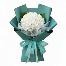 Букет цветов из:  Гортензия в Северном Оренбургской области